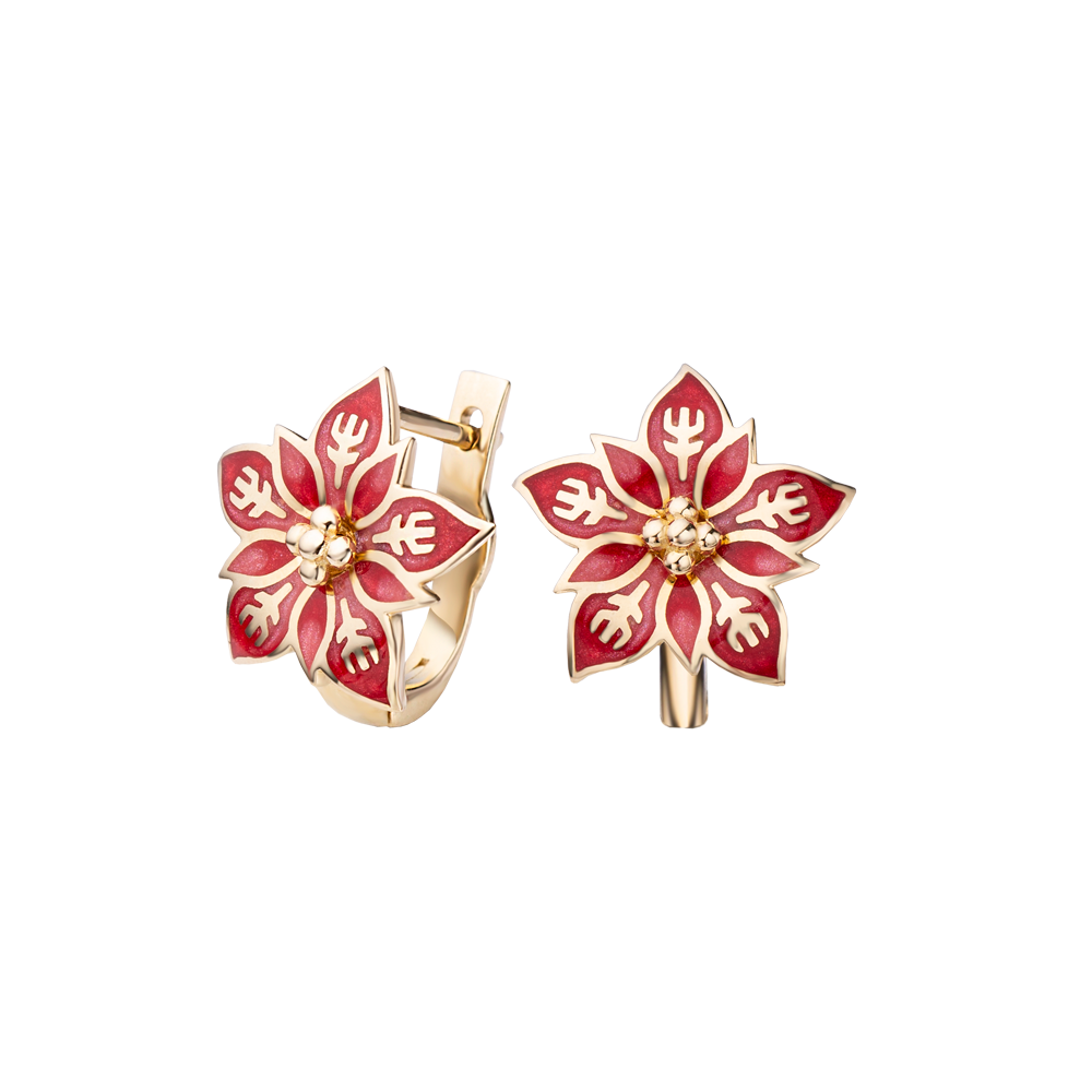 Poinsettia