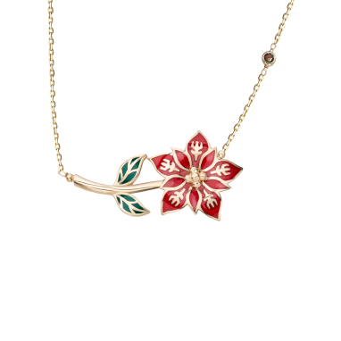 Poinsettia