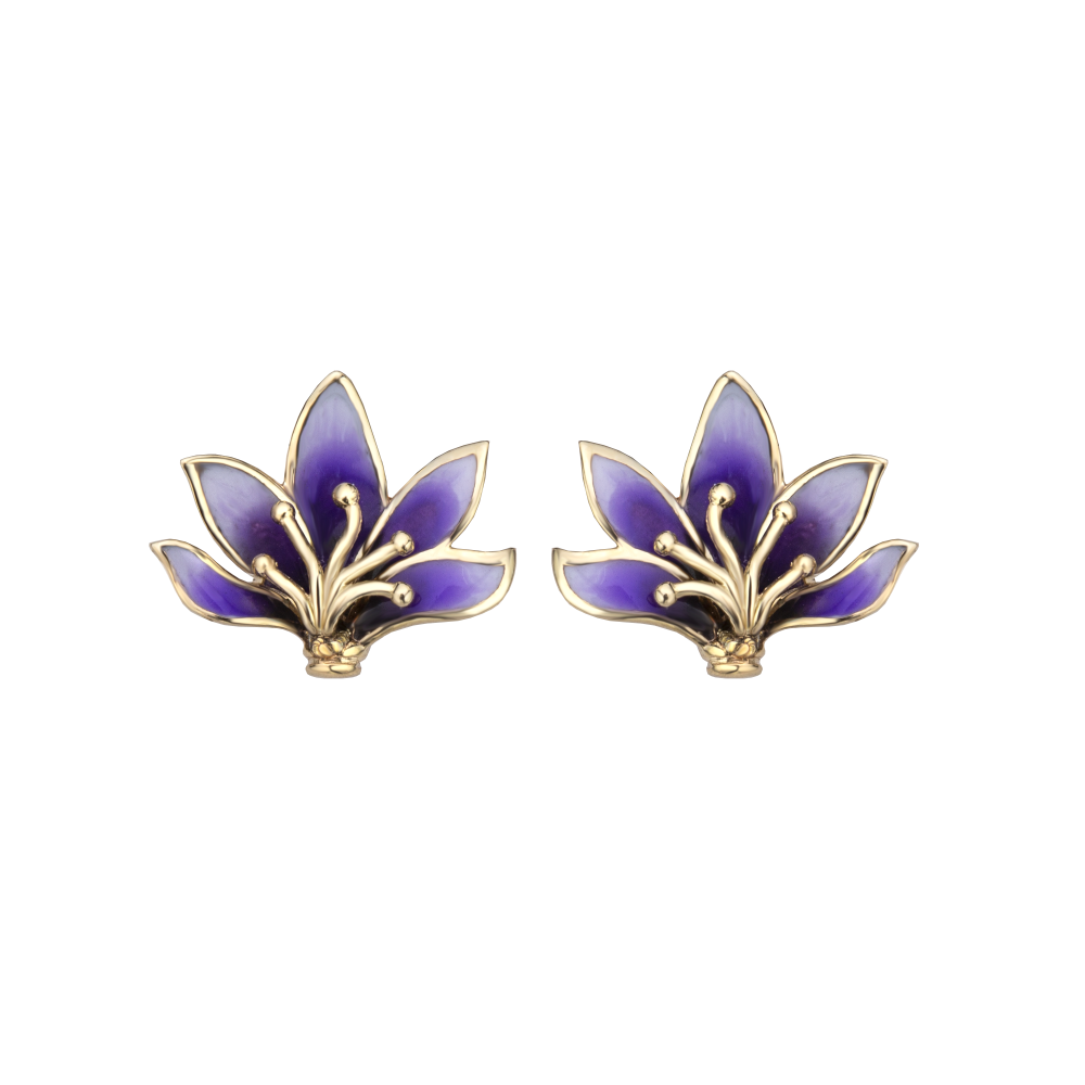 Crocus