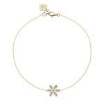 Chamomile