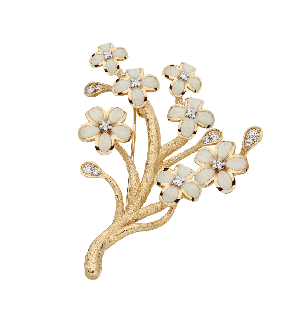 Plum Blossom