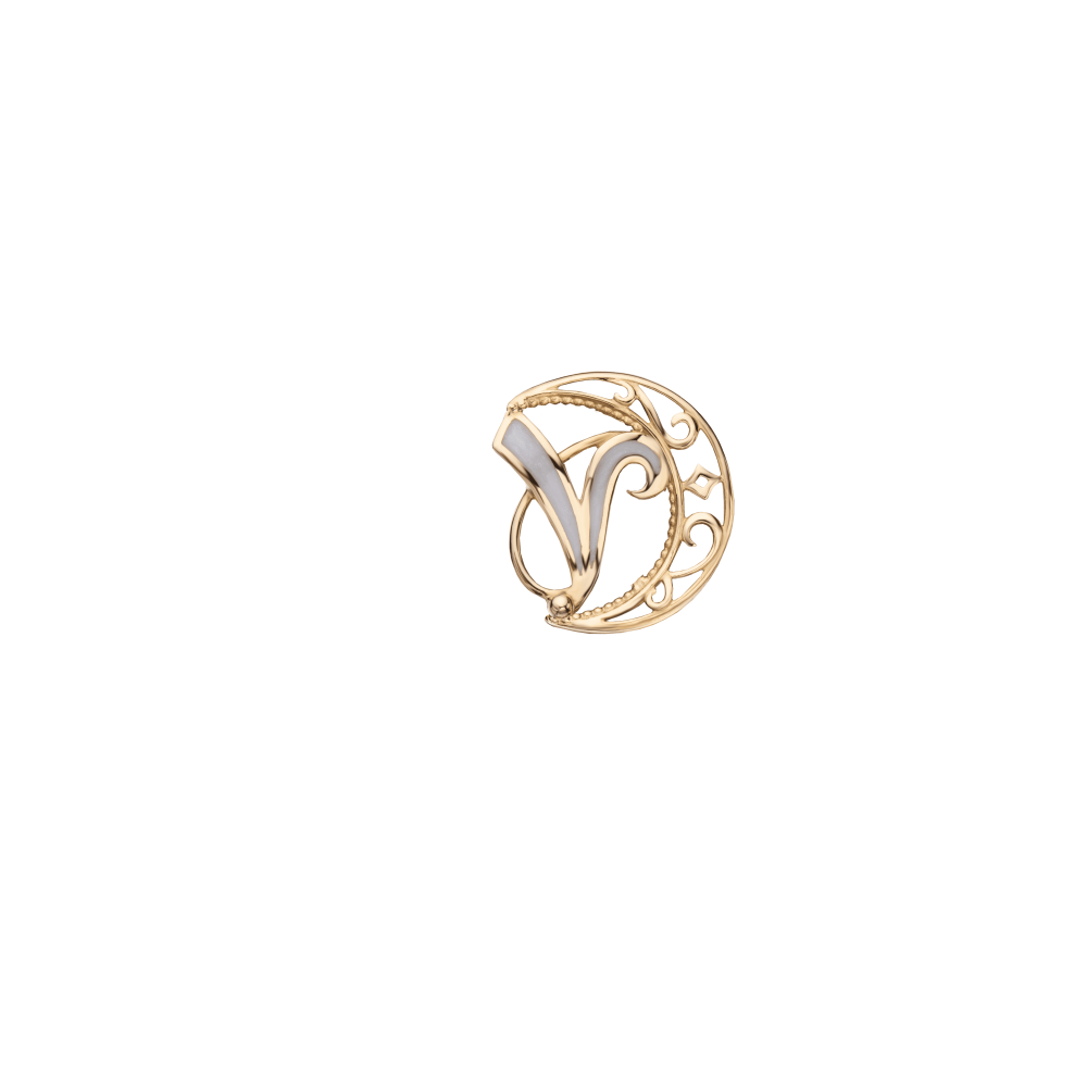 Buta V letter