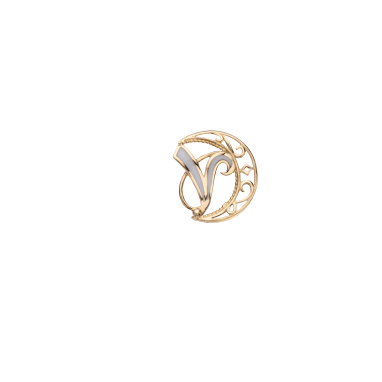 Buta V letter