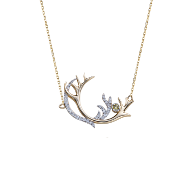 Deer Antler