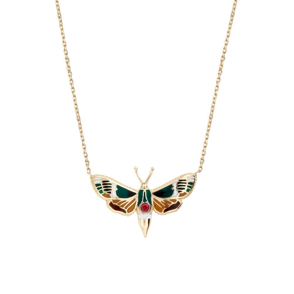 Brahmaea Christophi - Butterfly