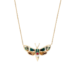 Brahmaea Christophi - Butterfly