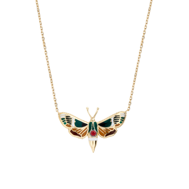 Brahmaea Christophi - Butterfly