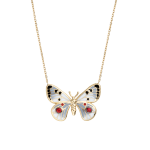 Apollo - Butterfly